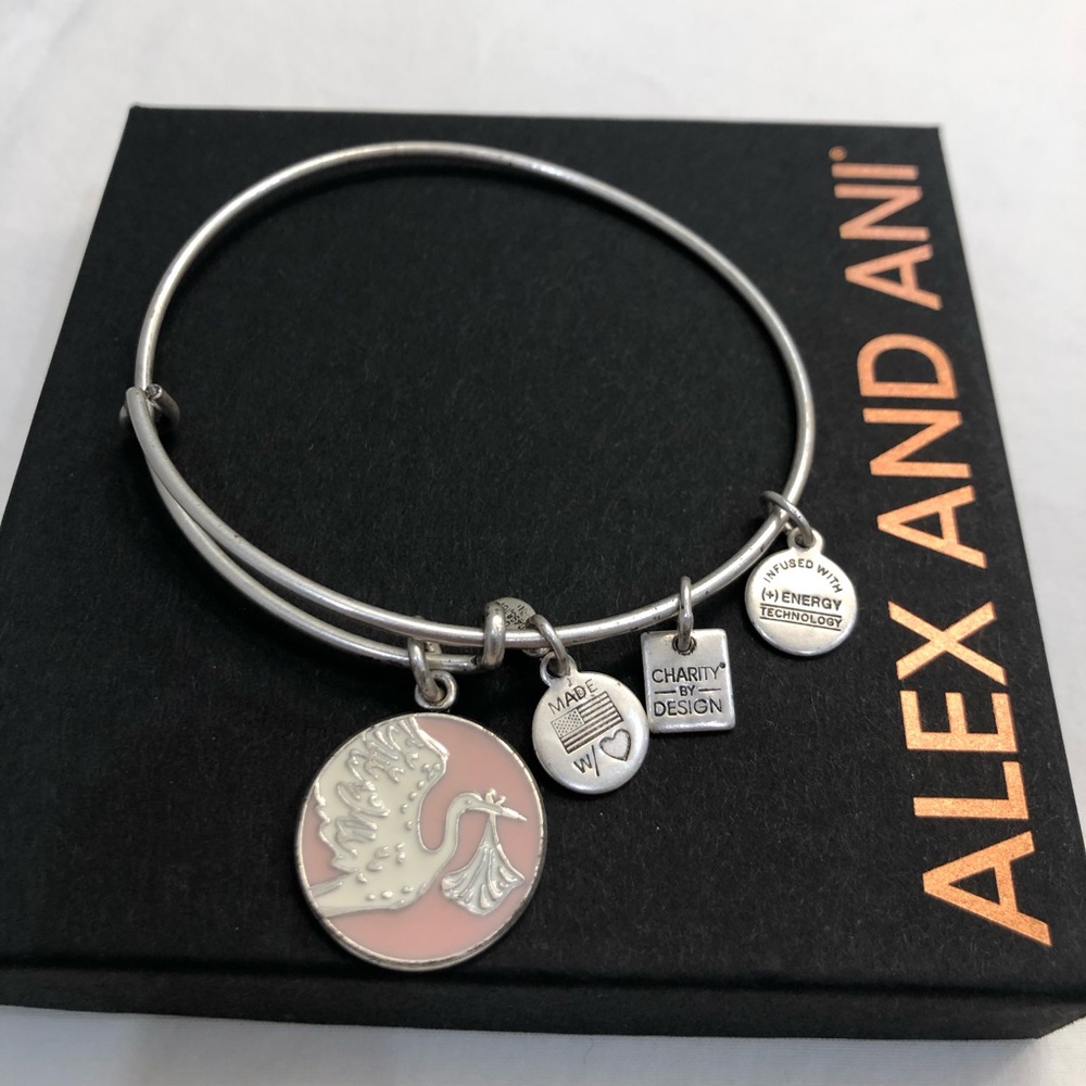 Alex and Ani Special Delivery Charm Bangle